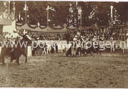 oude fotokaarten: feest Zutphen 1908