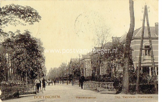 oude ansichtkaarten Doetinchem: tulpkaart Plantsoenstraat 1907
