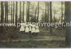 pinksterbrood Oldenzaal: oude fotokaarten van deze pinkstertraditie 1926 (190116)