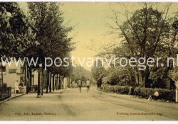 Terborg in oude ansichten: tulpkaart Doetinchemsche Weg ca 1910
