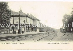 oude ansichtkaarten Vogelenzang b. Bloemendaal station 1907 (170185)