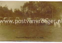 oude fotokaart Groenlo: Groenlosche Melkerij van G.H. Nales