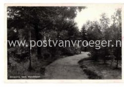 Oude ansichtkaarten Dinxperlo : fotokaart gemeentelijk wandelpark (Welinkbos), gelopen in 1937