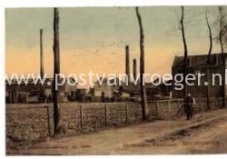 Oude ansichtkaarten van Zevenhoven : puntgave tulpkaart houtzagerij Hazeldonk, in 1909 verzonden(200011)