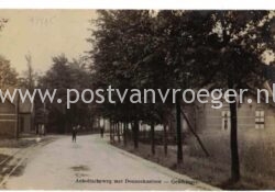 oude ansichtkaarten Gendringen: fotokaart Anholtscheweg met douanekantoor
